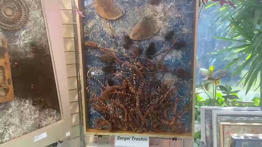 Still from the artist's video: The Choice, a blue panel with metal spirals, hanging on a white grid beside a window with plants